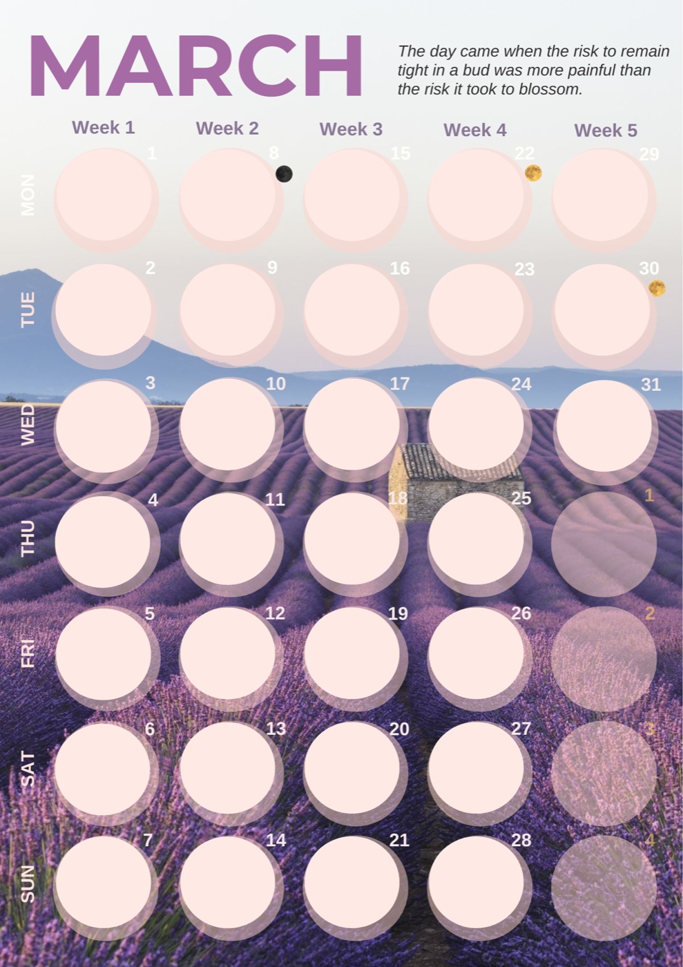 March: lavender fields in Provence, purple typography