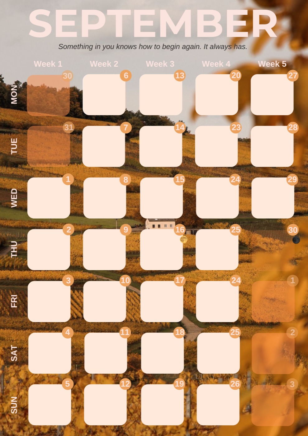 September: a golden vineyard at harvest, amber typography