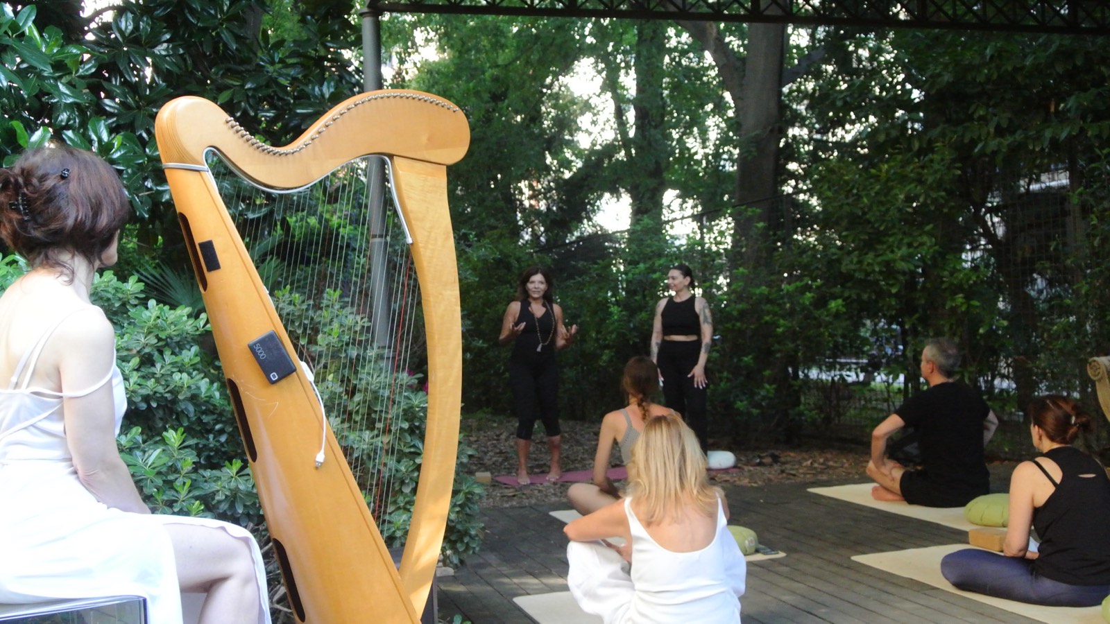 The harpist in white in the foreground as instructors guide seated practitioners in the garden
