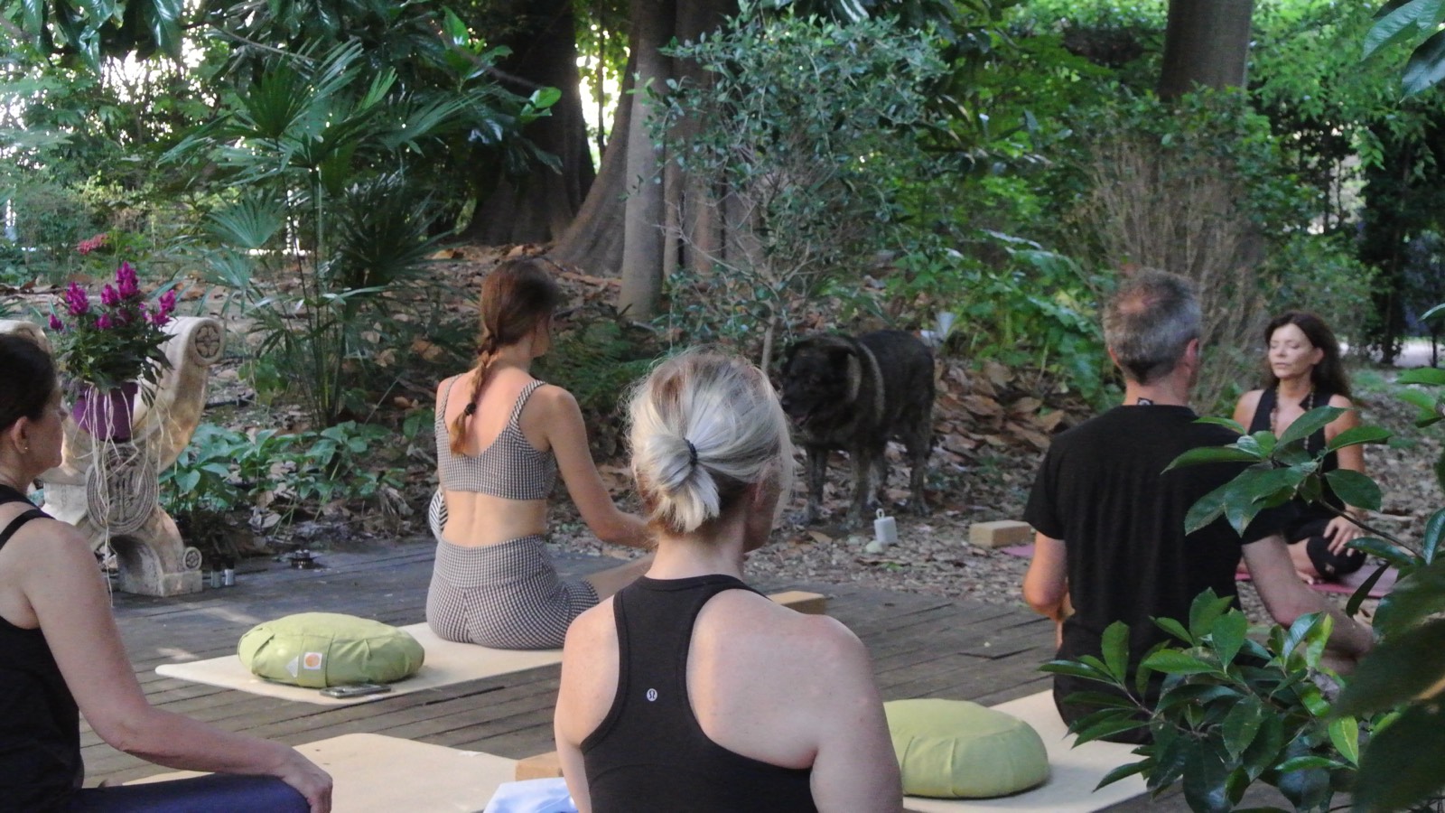 Practitioners seated in stillness among the garden greenery