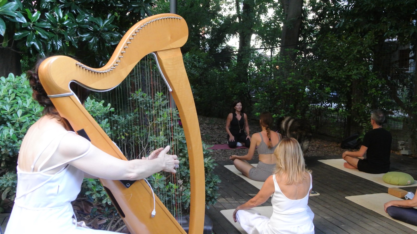 Close-up of the harpist's hand playing, the seated group meditating behind her