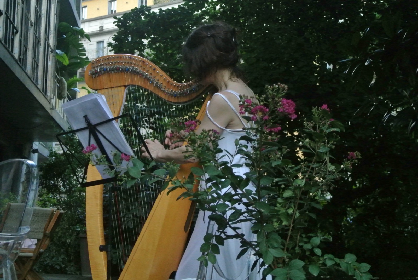 The harpist seen from behind among pink blossoms, Milan rooftops beyond the garden